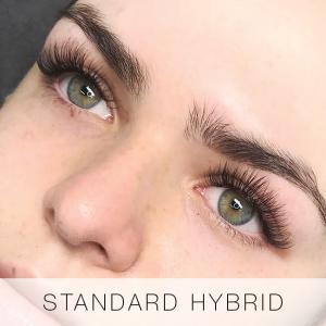 Standard Hybrid Set of Eyelash Extensions at Lady Lash